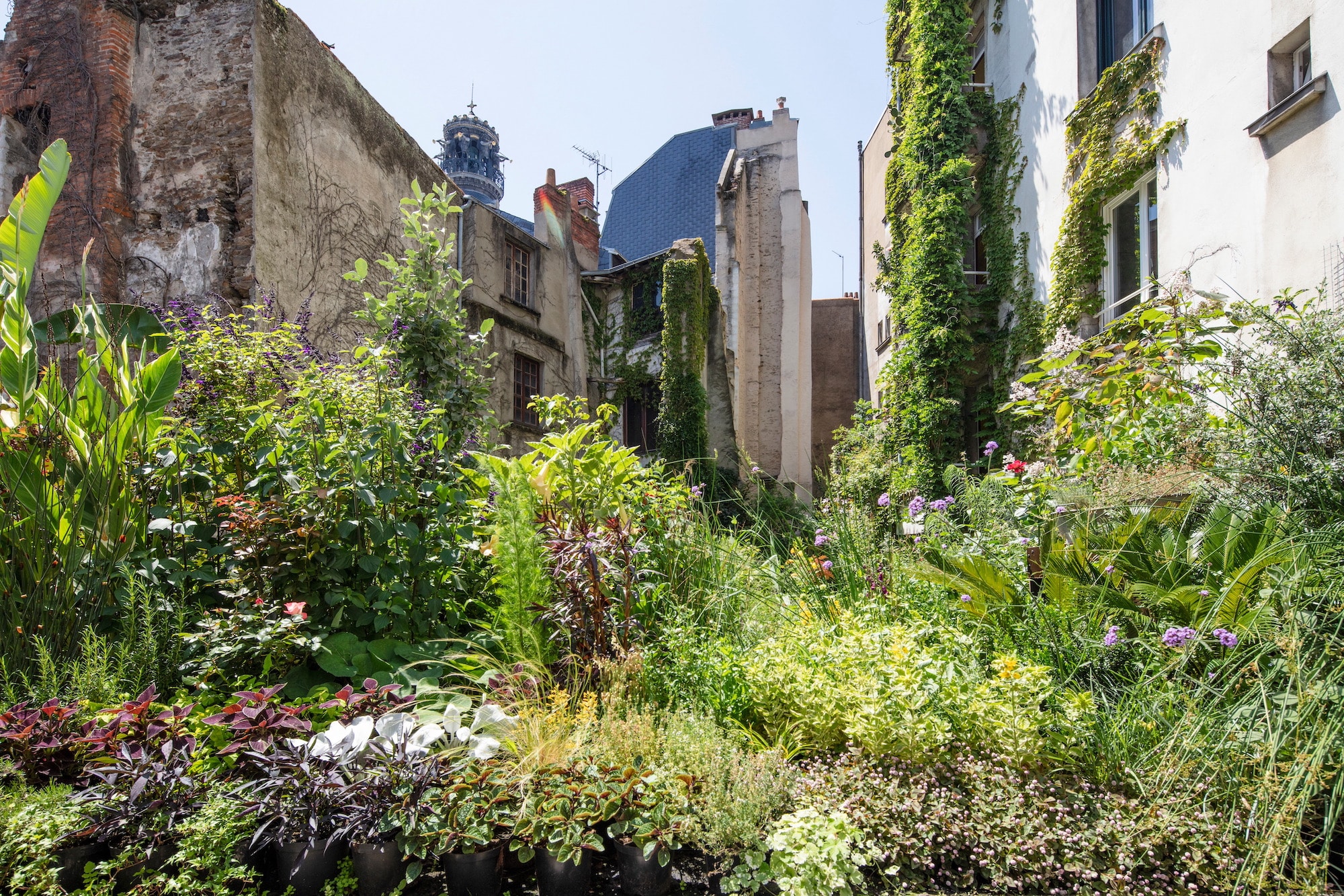 Jungle Intérieure, Evor